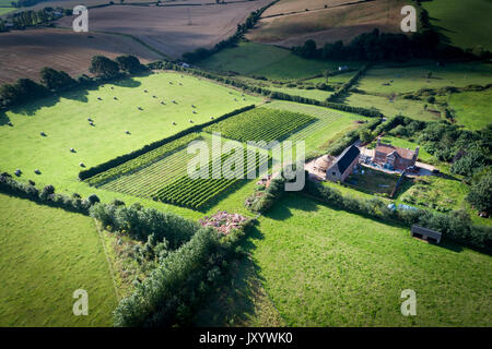 Foto aerea di vigna Brickhouse nel Devon, prese da fuco Foto Stock