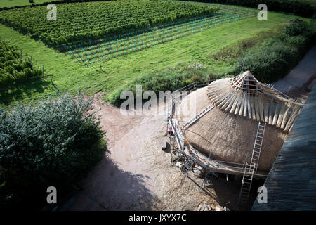 Foto aerea di vigna Brickhouse nel Devon, prese da fuco Foto Stock