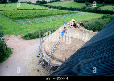 Foto aerea di vigna Brickhouse nel Devon, prese da fuco Foto Stock