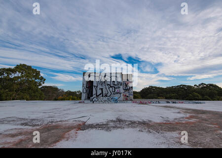 Verniciato a spruzzo e pareti contrassegnate sul tetto di un edificio abbandonato a Sydney Foto Stock