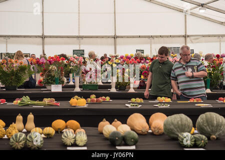 Fiori e verdure visualizzato in autunno Malvern Visualizza, tre contee Showground, Worcestershire,Inghilterra. Regno Unito. Foto Stock