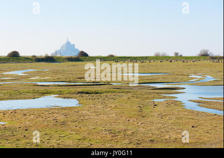 Mont Saint Michel e le pecore in un prato Foto Stock