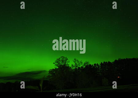 Amare fino le luci del nord! Foto Stock