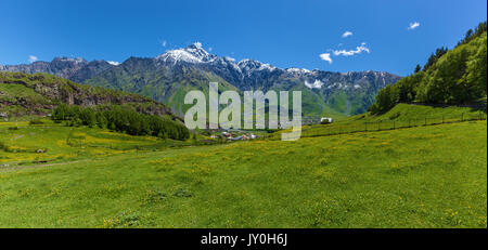 Villaggio sulle cime innevate delle montagne sullo sfondo a kazbegi distretto militare-strada georgiana. prato con fiori gialli. paesaggio panoramico a Foto Stock