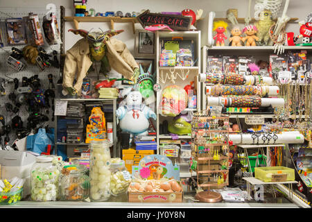 Afflecks Palace Nel centro della città di Manchester per la musica alternativa e vestiti shopping. Foto di Fabio De Paola Foto Stock