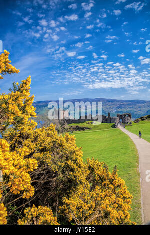 Rovine del Castello di urquhart accanto a Loch Ness in Scozia Foto Stock