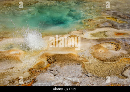 In eruzione geyser spasmodica geyser area, Upper Geyser Basin, il parco nazionale di Yellowstone, Stati Uniti d'America Foto Stock