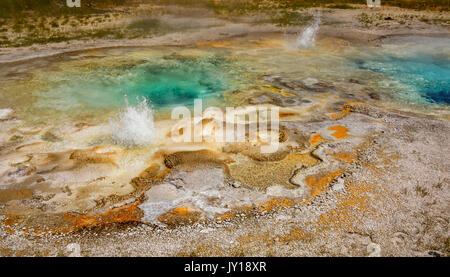 In eruzione geyser spasmodica area di geyser, Upper Geyser Basin, il parco nazionale di Yellowstone, Stati Uniti d'America Foto Stock