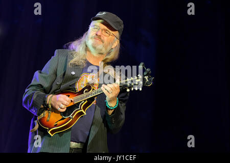 Chris Leslie di Fairport Convention effettuando in corrispondenza di Fairport Cropredy della convenzione, Banbury, Oxfordshire, Inghilterra, Agosto 12, 2017 Foto Stock