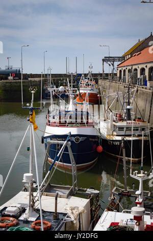 Barche da pesca nel porto di Pittenweem, Fife, Scozia Foto Stock