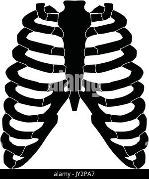 Un bianco e nero silhouette di una serie di nervature Illustrazione Vettoriale