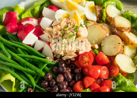 In casa francese Insalata Nizzarda con tonno Uova Patate e fagioli verdi Foto Stock