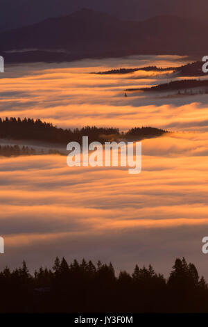 Willamette Valley nebbia dal vertice, Spencer Butte Park, Eugene, Oregon Foto Stock