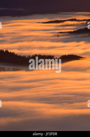 Willamette Valley nebbia dal vertice, Spencer Butte Park, Eugene, Oregon Foto Stock