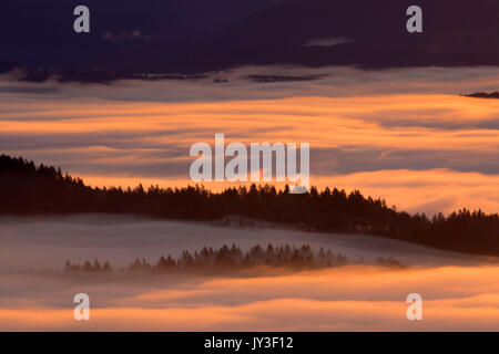 Willamette Valley nebbia dal vertice, Spencer Butte Park, Eugene, Oregon Foto Stock