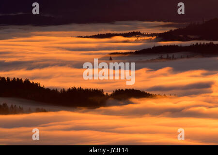 Willamette Valley nebbia dal vertice, Spencer Butte Park, Eugene, Oregon Foto Stock