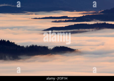 Willamette Valley nebbia dal vertice, Spencer Butte Park, Eugene, Oregon Foto Stock