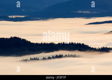 Willamette Valley nebbia dal vertice, Spencer Butte Park, Eugene, Oregon Foto Stock