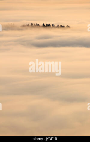Willamette Valley nebbia dal vertice, Spencer Butte Park, Eugene, Oregon Foto Stock