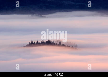 Willamette Valley nebbia dal vertice, Spencer Butte Park, Eugene, Oregon Foto Stock
