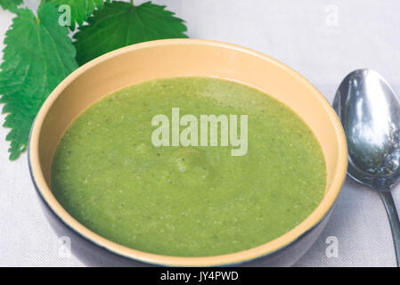 Verde zuppa di ortica nel recipiente Foto Stock