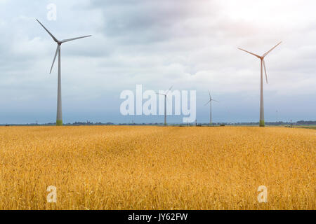 Turbina eolica tra dorate spighe di grano raccolti. La raccolta di orecchie di segale. Colture raccolte sul campo dell'azienda agricola. Mulino a vento turbina è quello ambientale Foto Stock