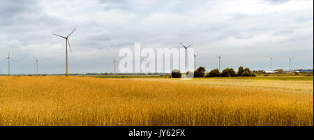 Turbina eolica tra dorate spighe di grano raccolti. La raccolta di orecchie di segale. Colture raccolte sul campo dell'azienda agricola. Mulino a vento turbina è quello ambientale Foto Stock