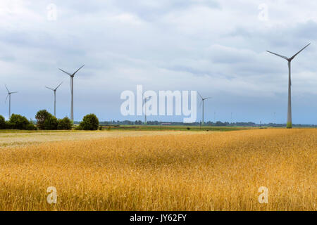 Turbina eolica tra dorate spighe di grano raccolti. La raccolta delle spighe di grano. Colture raccolte sul campo dell'azienda agricola. Mulino a vento turbina è ambiente Foto Stock