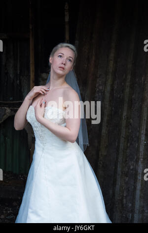 Sposa abbandonata e decadimento Platt's isola Eyot Hampshire Foto Stock