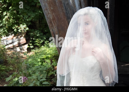 Sposa abbandonata e decadimento Platt's isola Eyot Hampshire Foto Stock