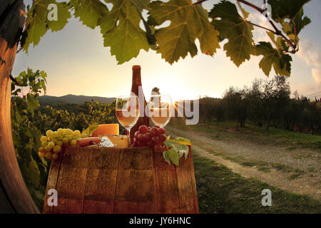 Vino bianco con canna sul famoso vigneto in chianti, Toscana, Italia Foto Stock