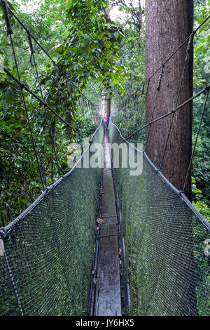 Lunga passerella elevata attraverso le cime degli alberi nella foresta pluviale al Parco Kinabalu, Sabah Borneo Malese. Foto Stock