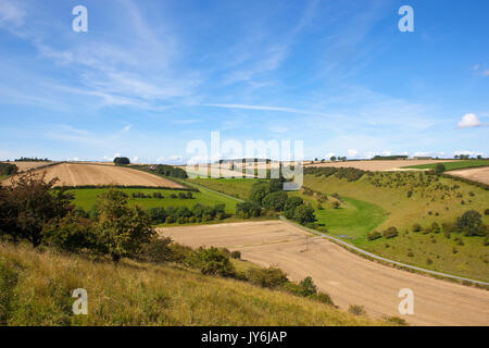 Una pittoresca valle agricola con un patchwork di campi e siepi sotto un cielo di estate blu nel yorkshire wolds Foto Stock