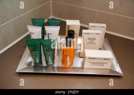 Lussuosi dispenser di sapone liquido per il lavaggio del corpo, shampoo e  balsamo sulla parete della doccia del bagno dell'hotel Foto stock - Alamy