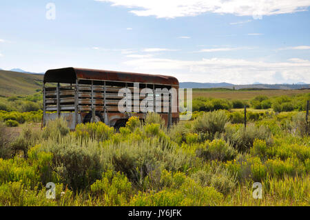 Un vecchio arrugginito rimorchio cavallo si siede su una prateria in Colorado Foto Stock