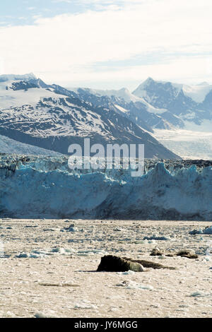 Ghiacciai in Prince William Sound Alaska Foto Stock