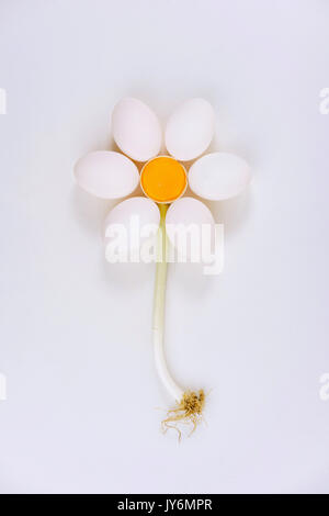 Uova di gallina organizzare in forma di fiore Foto Stock