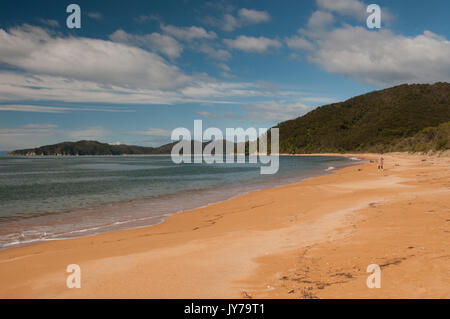 Spiaggia di Golden Sands a Totaranui, la porta nord al Parco Nazionale Abel Tasman, Isola del Sud, Nuova Zelanda Foto Stock