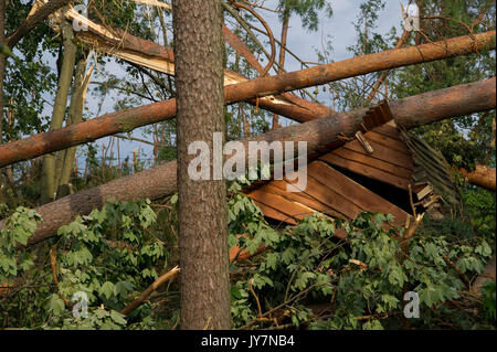 Distrutto luogo di riposo e di alberi caduti nella foresta causato da estremamente alta velocità del vento durante la tempesta a pochi giorni fa in Jeziorki, Polonia 16 Agosto 2017 Foto Stock