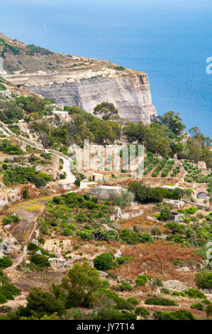 Le scogliere di Dingli, Malta Foto Stock