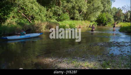 La sopravvivenza sul fiume Drava, Croazia Foto Stock