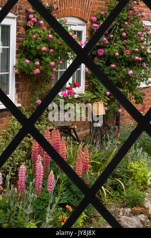 Vista attraverso il vetro di reticolo di Cottage Flower Garden Nord scricchiolare Village Norfolk Foto Stock