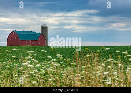 Un nordamericano fienile con un silo in estate Foto Stock