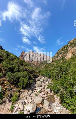 Spelunca Gorge, Ota, Corsica, Francia Foto Stock