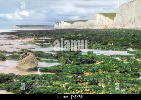 Sette sorelle, South Downs, East Sussex, England, Regno Unito Foto Stock