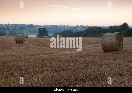 Un campo di grano raccolto balle in una nebbiosa alba si affaccia Ravensthorpe serbatoio, Ravensthorpe nel Northamptonshire, Inghilterra. Immagine ha uno spazio di copia. Foto Stock