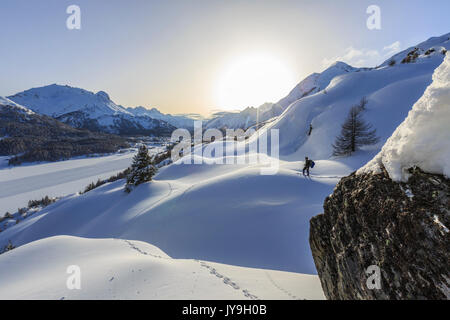 Escursionista solitario con le racchette da neve avventura nella neve profonda dopo una nevicata presso il Passo del Maloja. Il Cantone dei Grigioni. Engadina. La Svizzera. Europa Foto Stock
