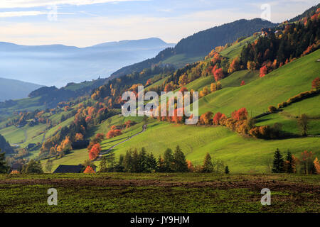 Red ciliegi in colore di autunno strada del paese intorno a st.magdalena village. sullo sfondo le Odle montagne. alto adige Foto Stock