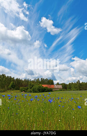Idilliaco countrysie azienda sotto blu cielo nuvoloso Foto Stock