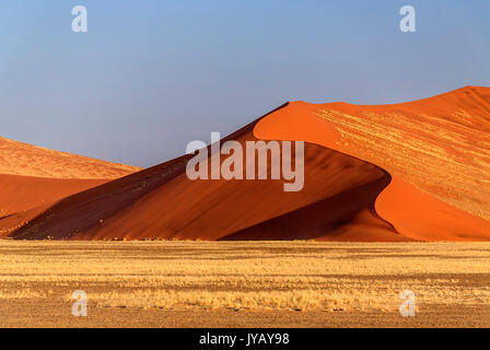 Dune 45 la stella dune composta da 5 milioni di anni di sabbia Sossusvlei deserto del Namib Naukluft National Park in Namibia in Africa Foto Stock